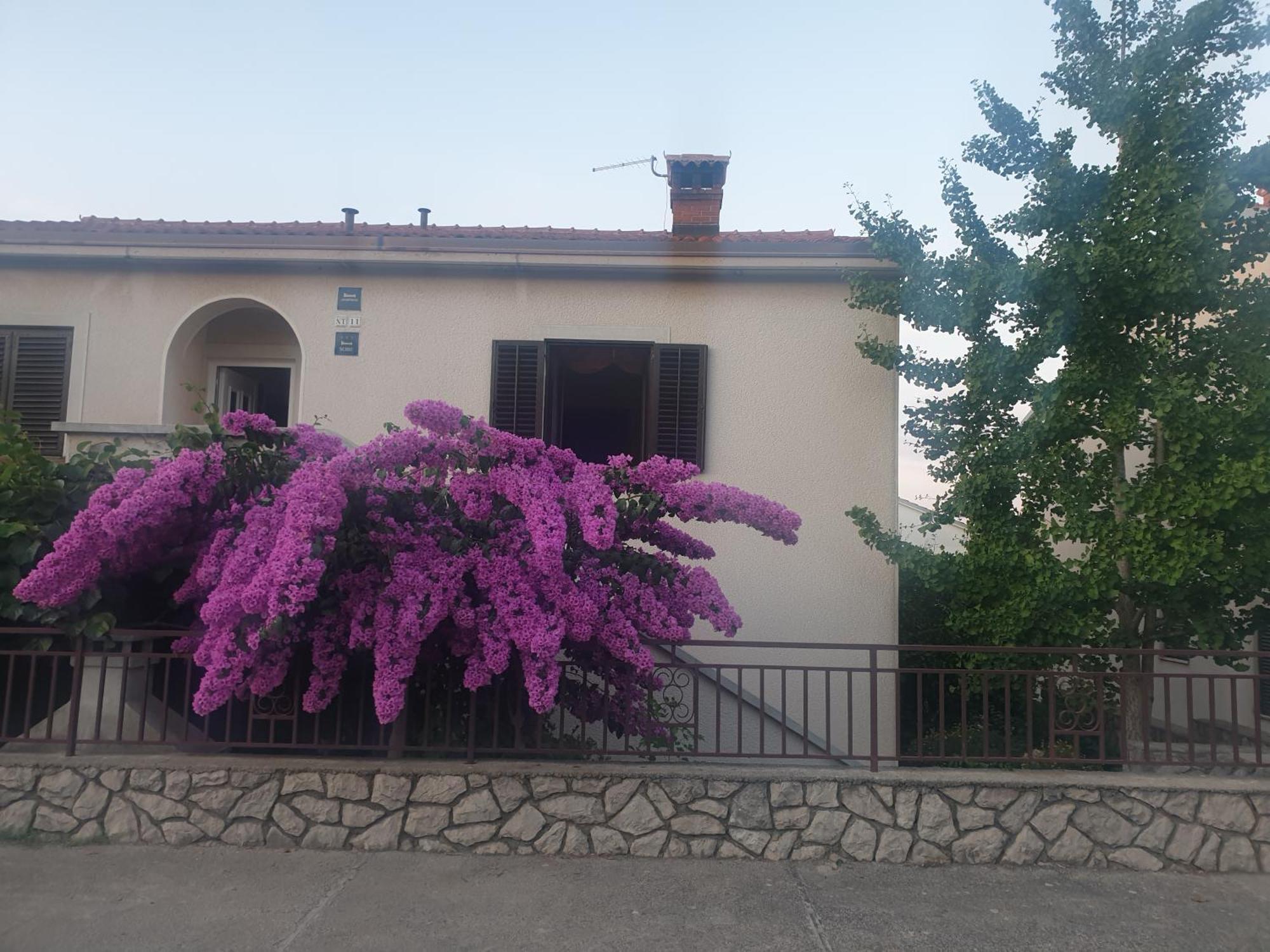 Apartments Mara Mali Lošinj Zewnętrze zdjęcie